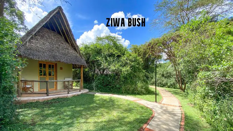 Ziwa Bush overview