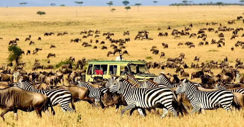 10-Day Big-5 Camping Safari & Cultural Tourism