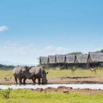 sweetwaters serena olpejeta National Reserve sweetwaters serena olpejeta National Reserve