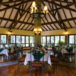 dining dining