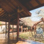 entrance overview entrance overview