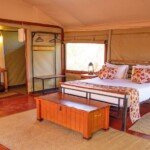 Tulia room view Tulia room view - marurumi safaris