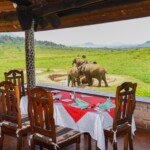 ngulia dining area ngulia dining area