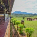 ngulia hills ngulia hills