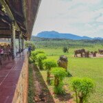 ngulia hills ngulia hills