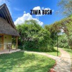 Ziwa bush Overview Ziwa Bush overview