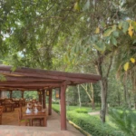 outside view sarova mara