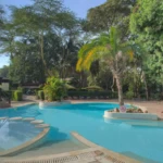pool view sarova mara game camp